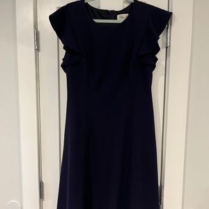Navy Eliza J Dress